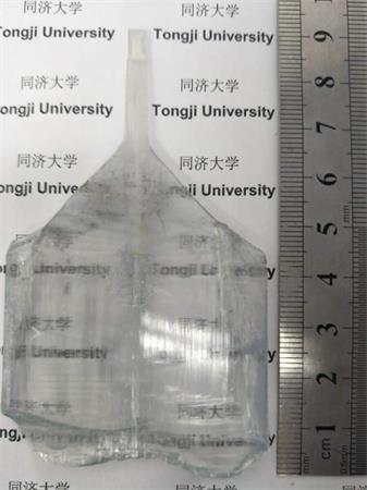 黄色动漫