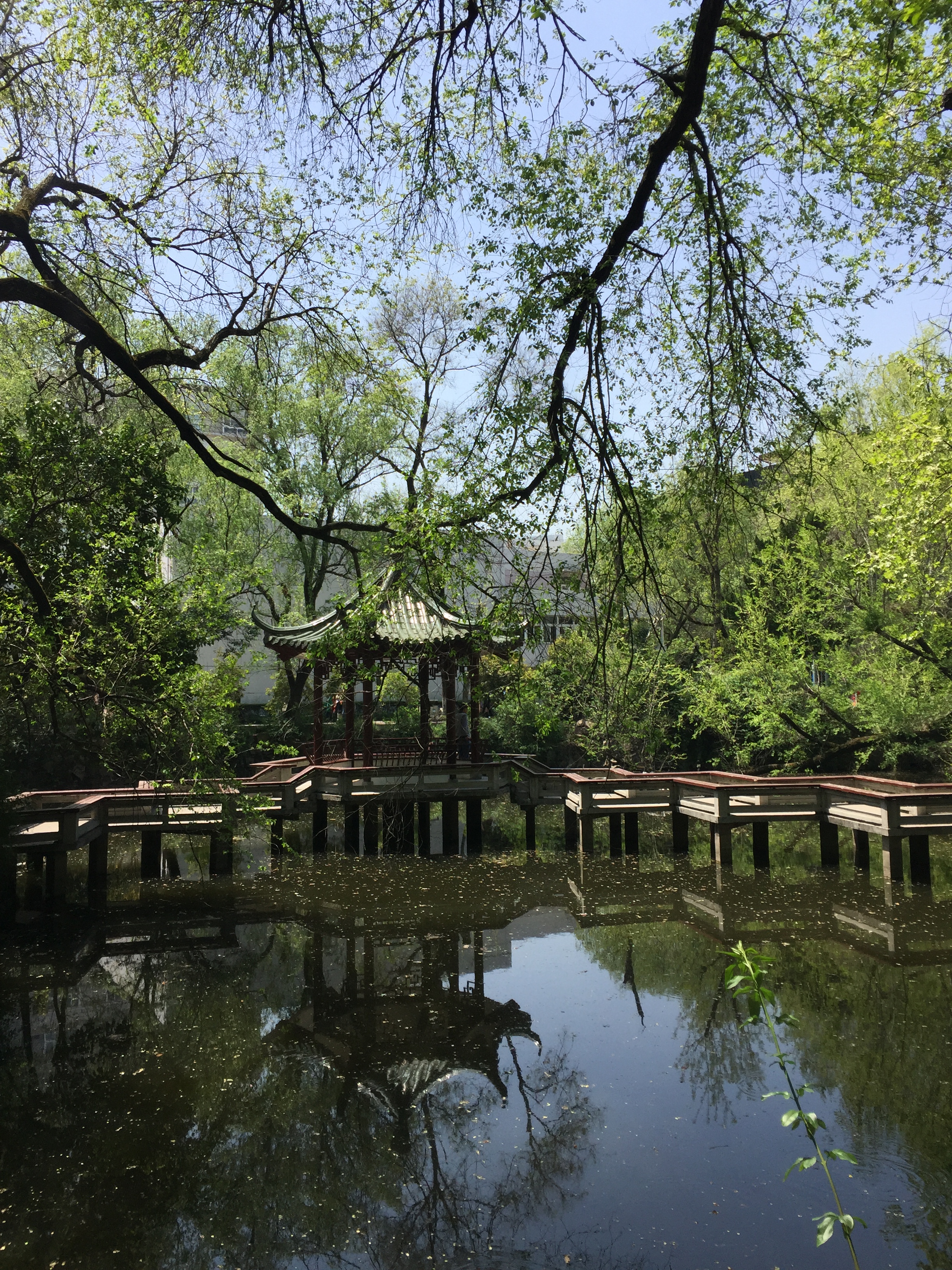 黄色动漫